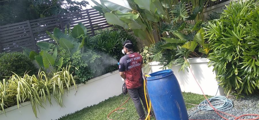 Philitech Pest Management Services work photo